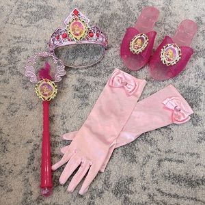 Sleeping Beauty Dress Up Accessories